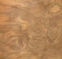 Walnut Burl veneer