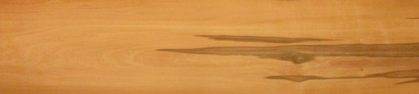 Apple veneer