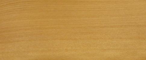 Elm veneer
