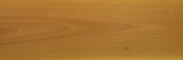 Walnut europ. Sapwood veneer