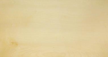 Sycomore (europ. Maple) veneer