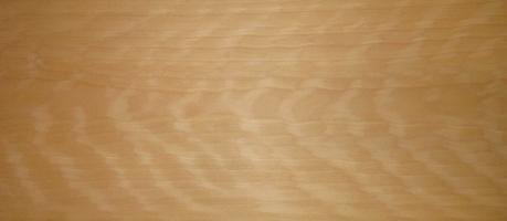 Beech Veneer veneer