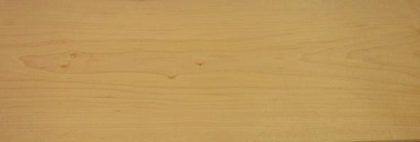 Maple (Hard Maple) veneer