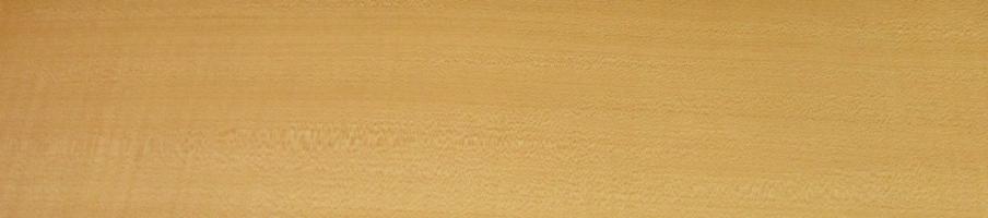 Sycomore (europ. Maple) veneer