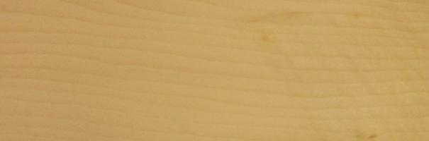 Sycomore (europ. Maple) veneer