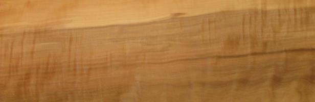 Apple veneer