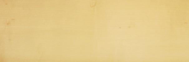 Sycomore (europ. Maple) veneer