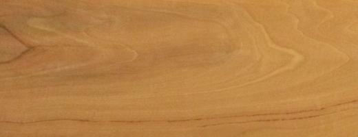 Apple veneer