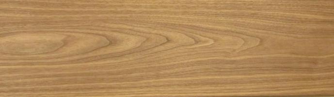 Walnut (Black Walnut) veneer
