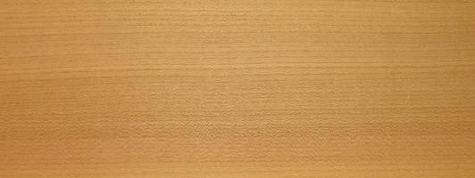 Elm european veneer