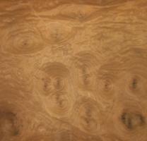 Walnut Burl veneer