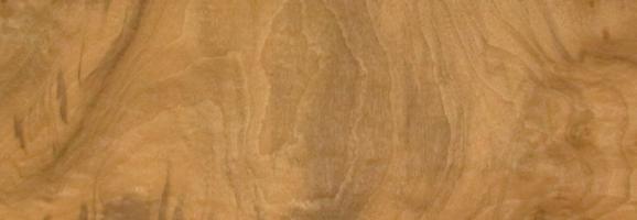 Walnut Burl veneer
