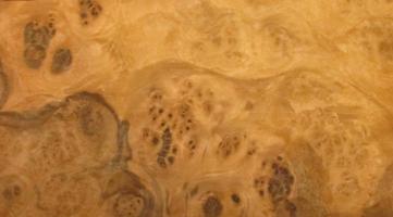 Walnut Burl veneer