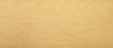 Sycomore (europ. Maple) veneer