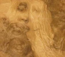 Walnut Burl veneer