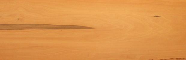Apple veneer