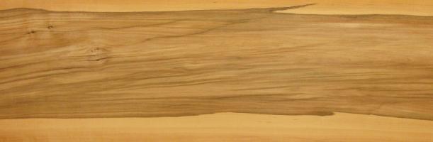 Apple veneer