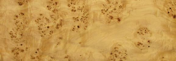 Poplar burl veneer