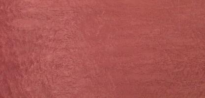 Maple Birdseye violet Maple veneer