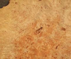 Maple Burl veneer