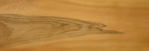 Walnut europ. veneer