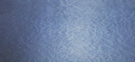 Maple blue (Bird´s Eye Maple) (reconstituted) veneer