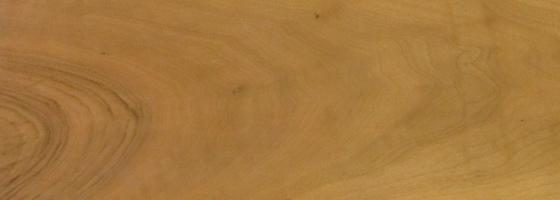 Walnut europ. Sapwood veneer