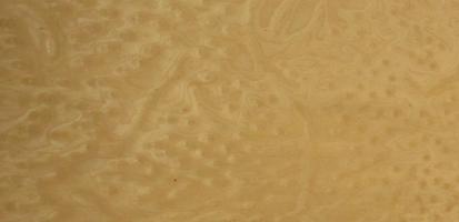 Fineline Birdseye veneer