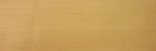Maple (Hard Maple) veneer