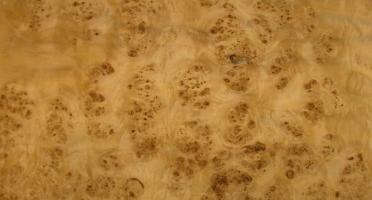Poplar burl veneer