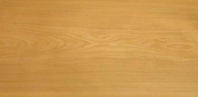 Elm (european) veneer