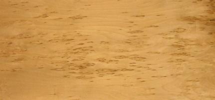 Birch burl veneer