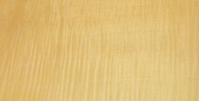 Sycomore figured veneer