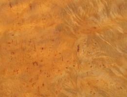 Sycomore burl veneer