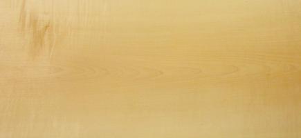 Sycomore (europ. Maple) veneer