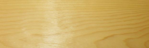 Spruce veneer