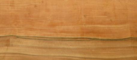Tineo veneer packet