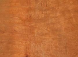Madrona Burl veneer