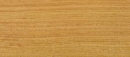 Eucalyptus veneer