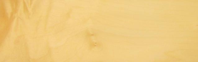 Sycomore (europ. Maple) veneer
