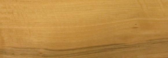 Walnut europ. veneer