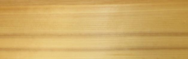 Spruce veneer