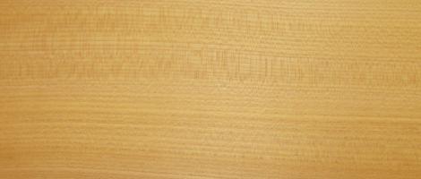 Elm european veneer