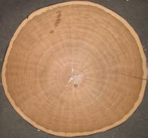 Oak Butt cut veneer