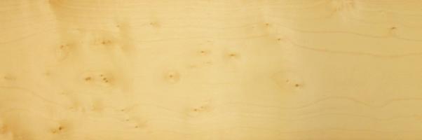 Sycomore (Knots) veneer