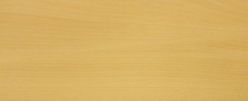 Beech veneer