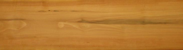 Apple veneer