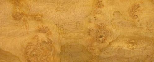 Oak Burl veneer