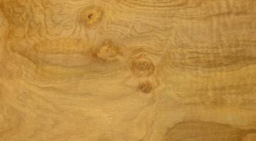 Oak Burl veneer