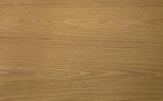 Walnut Fineline veneer